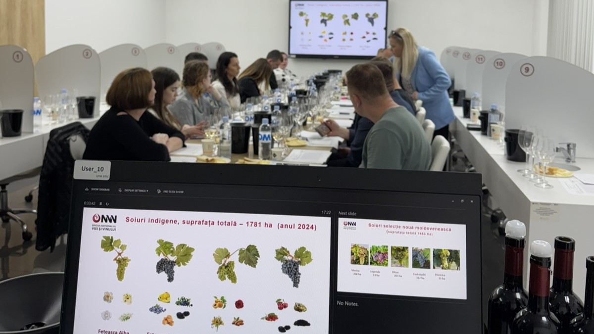 Teacher Training Image